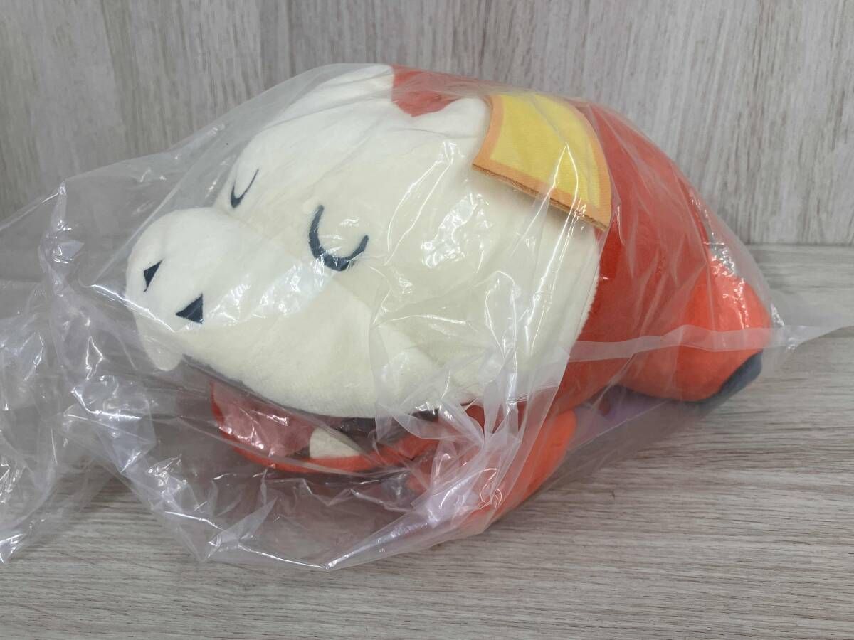 ◇ポケモン ピカピカボックス2023 ホゲータ 2023初夢ぬいぐるみ