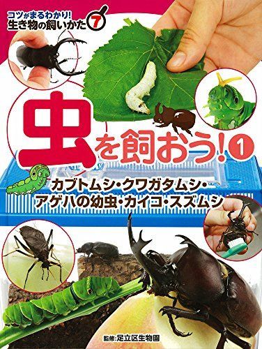 虫を飼おう!(1): カブトムシ・クワガタムシ・アゲハの幼虫・カイコ