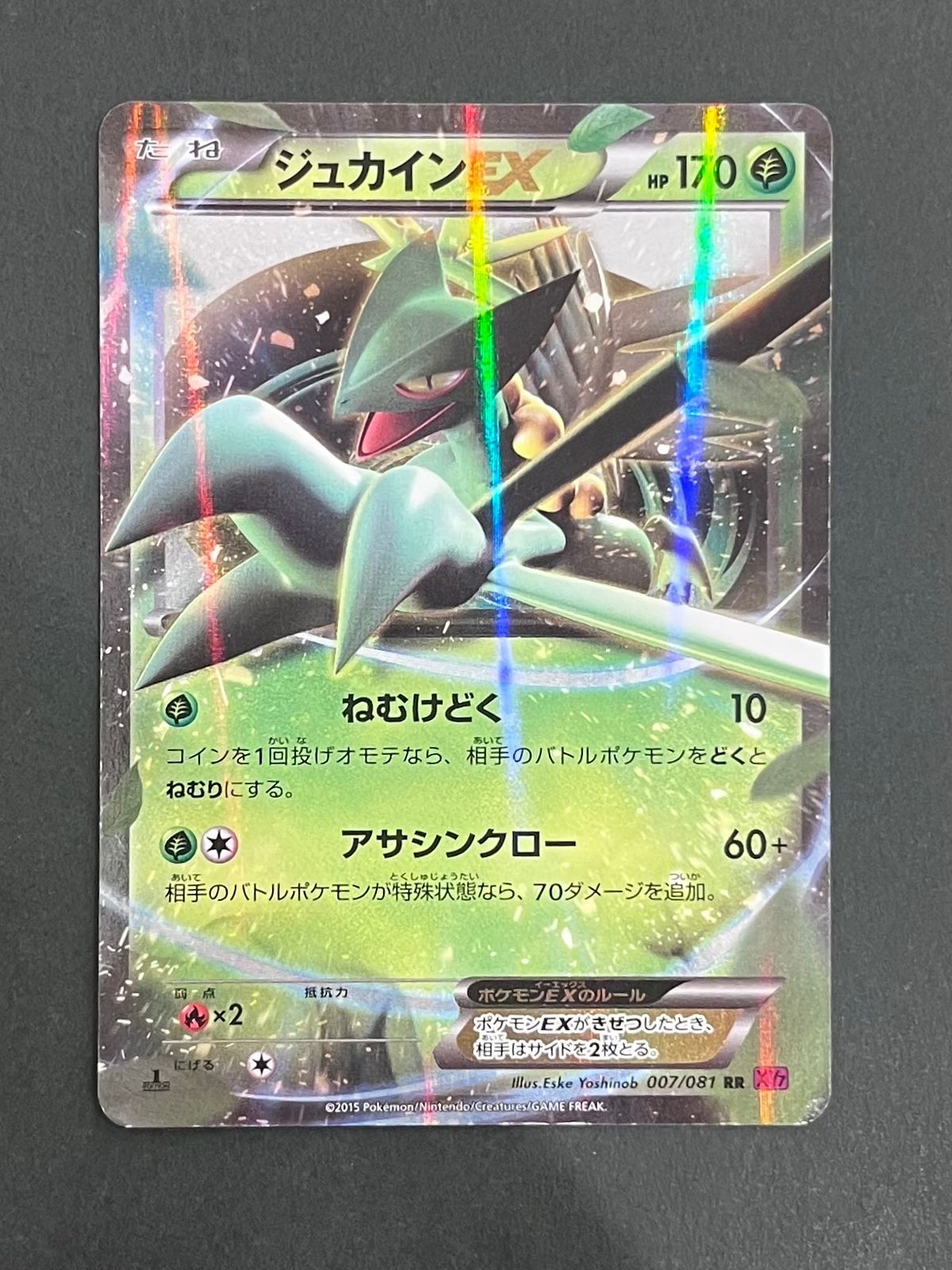 【PSA10】MジュカインEX RR XY7 バンデットリング 008/081 PSA10】MジュカインEX RR XY7 バンデットリング 008/081 M