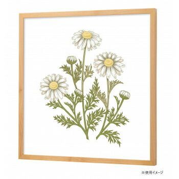 40角 アクリル