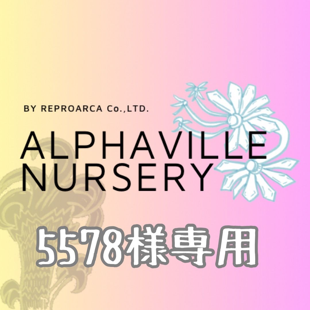 5578様専用 ローマンカモミール苗 - ALPHAVILLE NURSERY - メルカリ