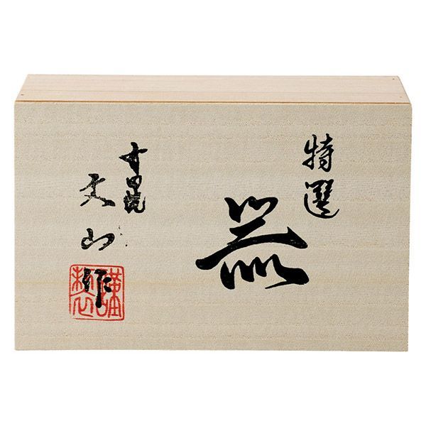 SHISEIDO エッセンススキングロウファンデーション160