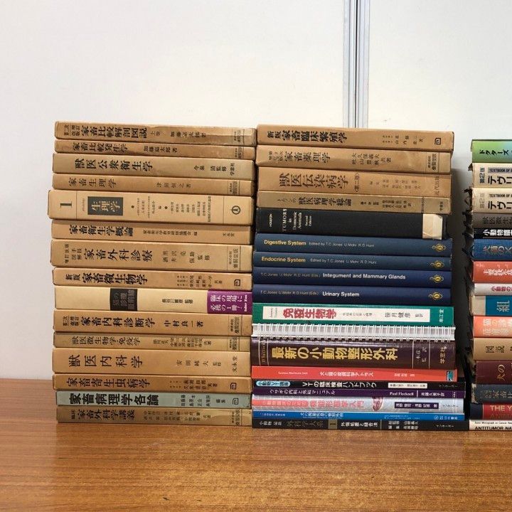 約75冊大量セット|小動物|家畜微生物学|手術|犬猫|動物|外科|内科|免疫|寄生虫病学|生理学|B