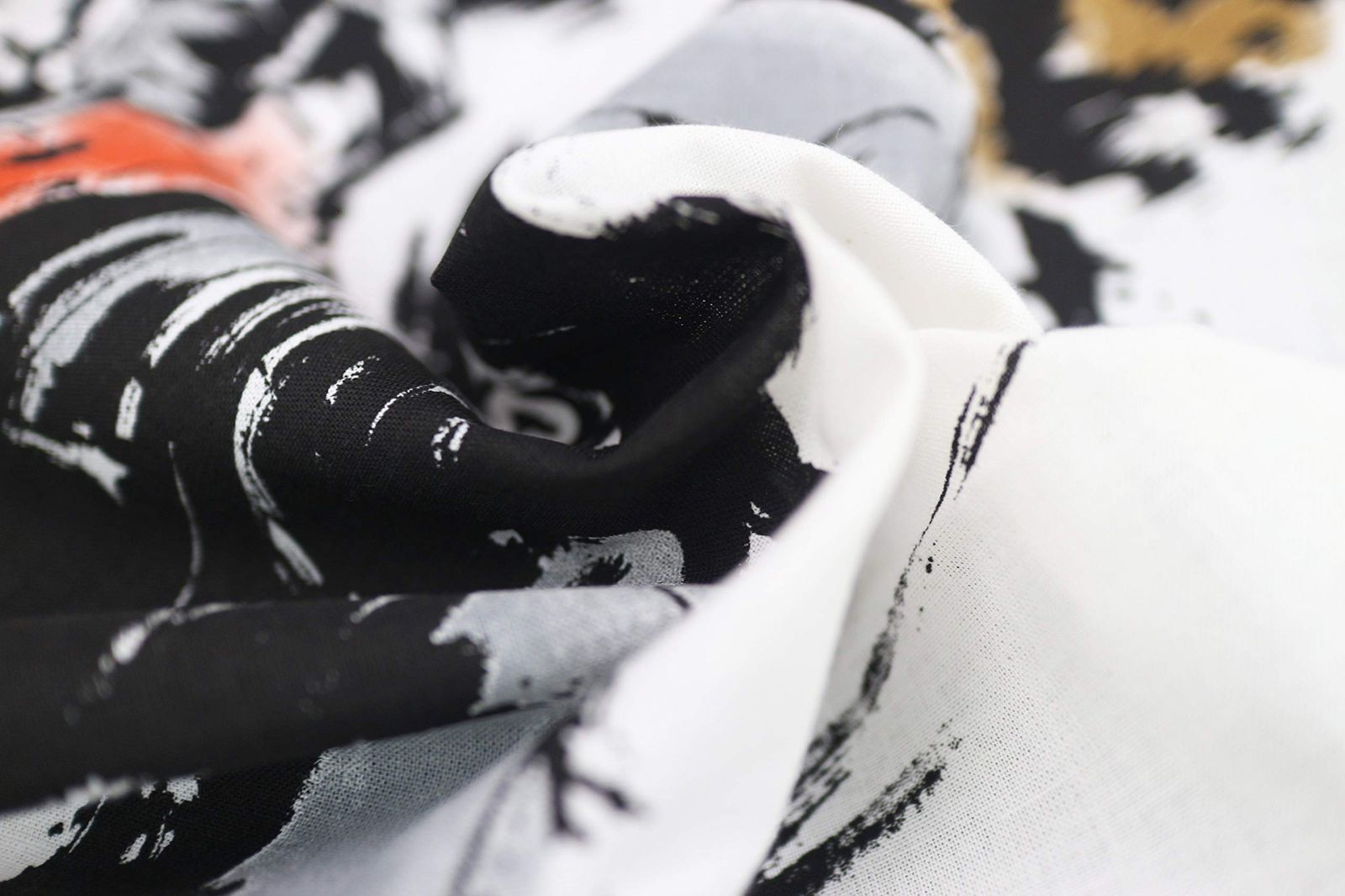 ラクーン 墨絵風