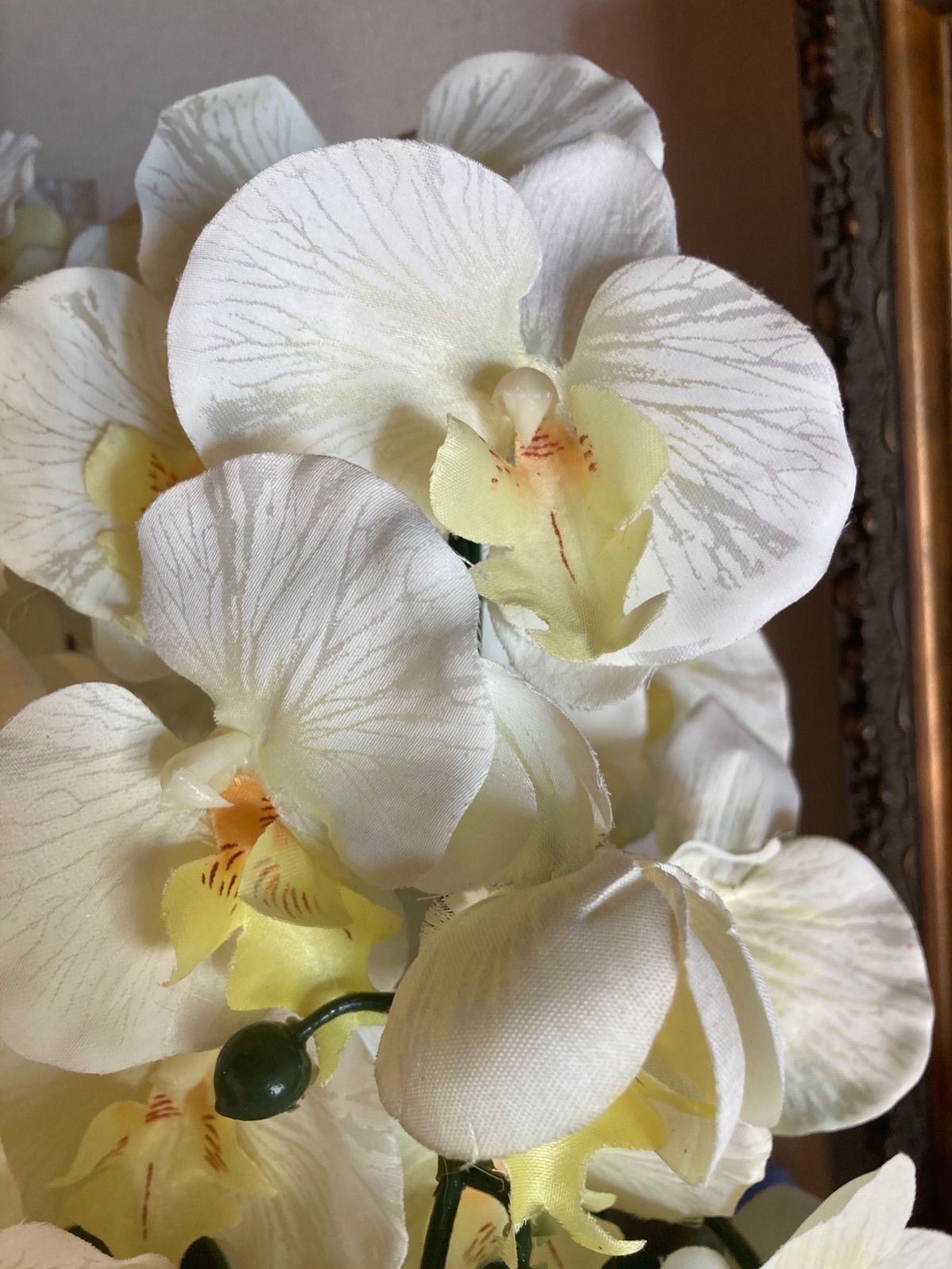 光触媒 人工観葉植物 ウォールグリーン フェイクグリーン 胡蝶蘭764242