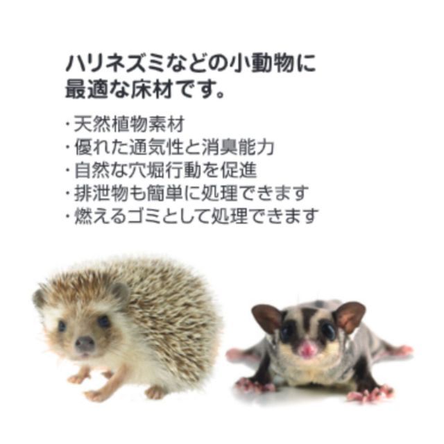 自然に穴を掘る