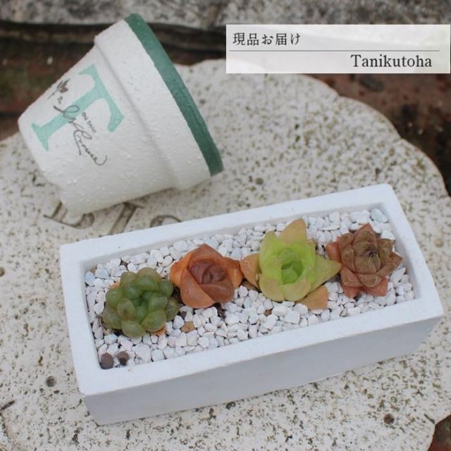 レア❗️シューズボックス 靴箱 スチールボックス スチール棚 レトロ家具