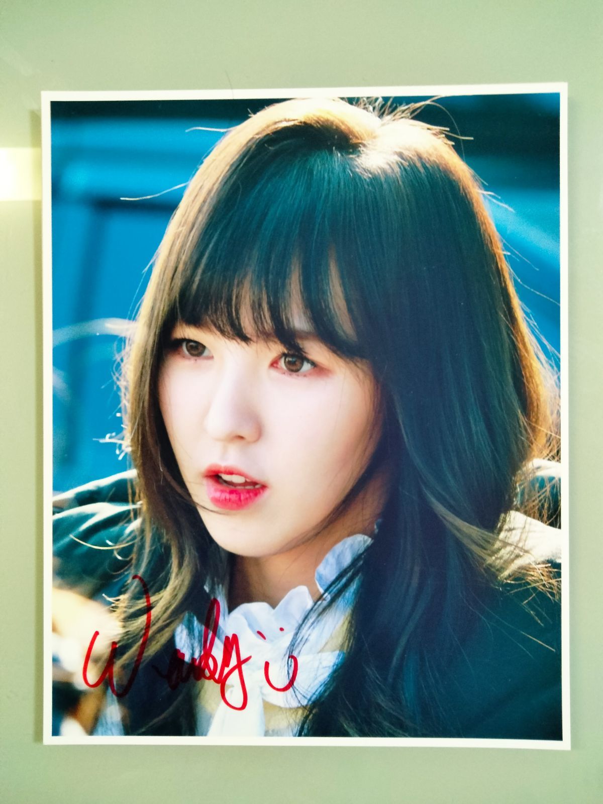 RED VELVET ウィンディ サイン入り フリスビー RED VELVET ウィンディ サイン入り フリスビー