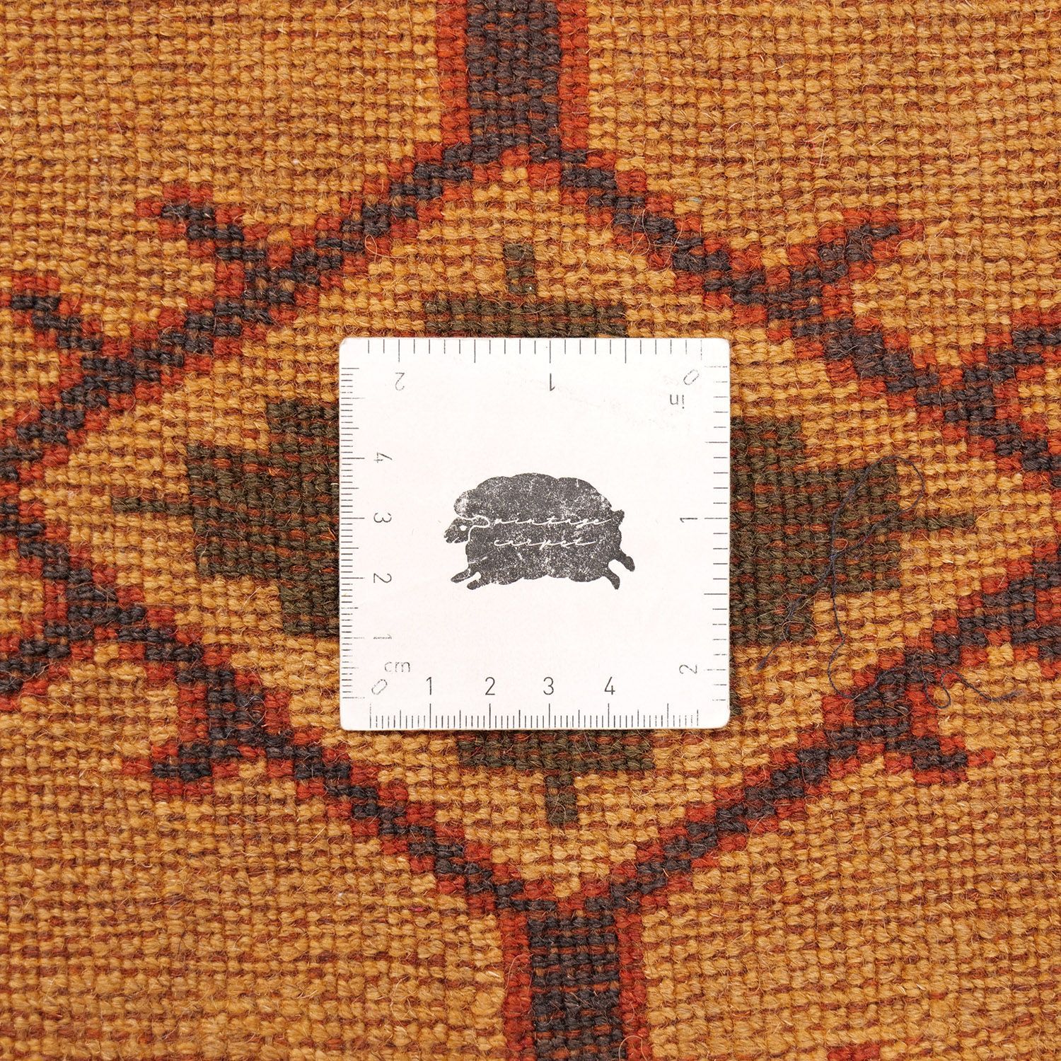 トルバトジャム 1950年代