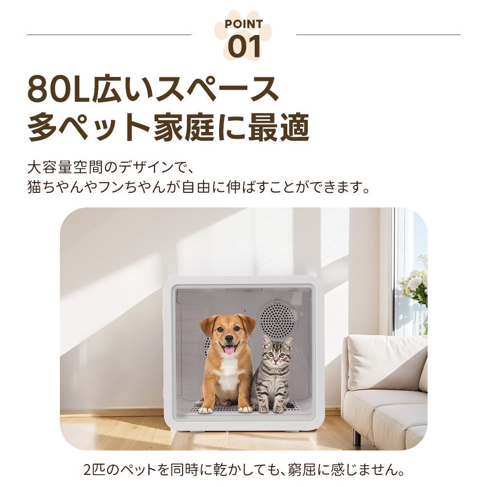 ボックス ハウス