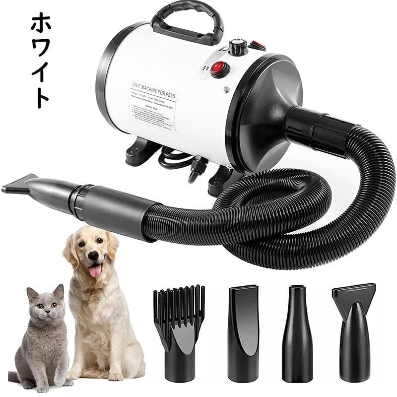 犬 猫
