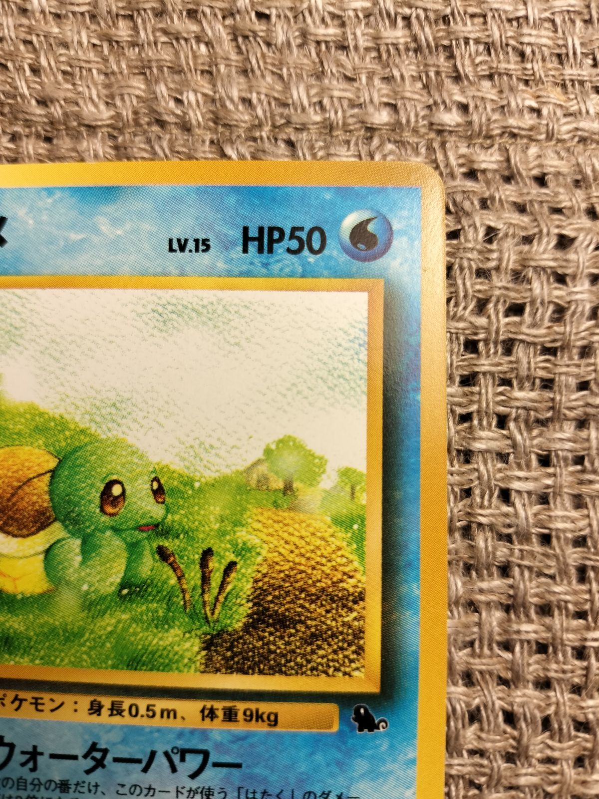 NO047_ゼニガメ(イントロパック)_ポケモンカード_旧裏 - メルカリ