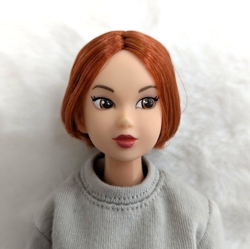 ペットワークス CCS-momoko Today 