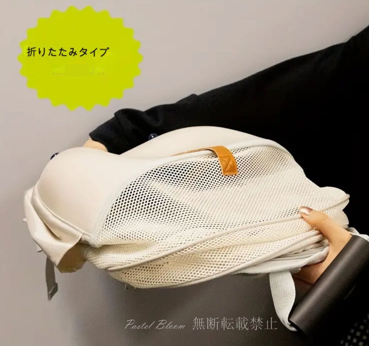 小型猫