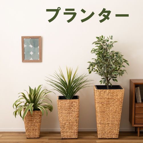 植木鉢 インテリア
