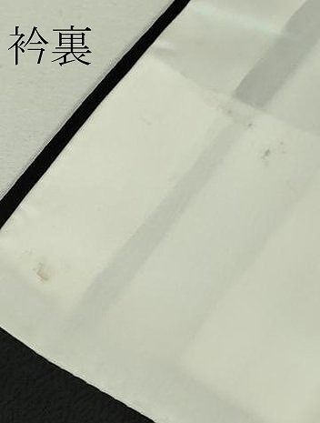 平和屋本店□極上 日本工芸会正会員 大村禎一 訪問着 舞花文 たたき