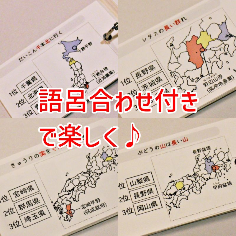 ぱんだ様　中学受験　暗記カード ぱんだ様 中学受験 暗記カード