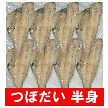 ツボダイ 干物 つぼだい 半身 ツボ鯛 一夜干し 真空 350g×8枚セット 魚介類 シーフード 干物 ひもの 魚