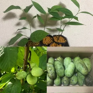 ZGGg3zKyZb2hPQFSZfNdQa.jpg@webp