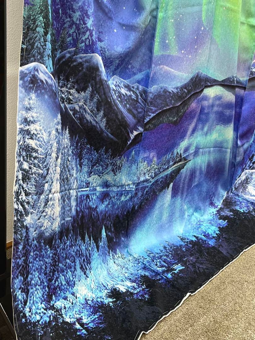 訪問着 未仕立て品 仮絵羽 銀通し オーロラ 正絹 八掛付き 大衆演劇