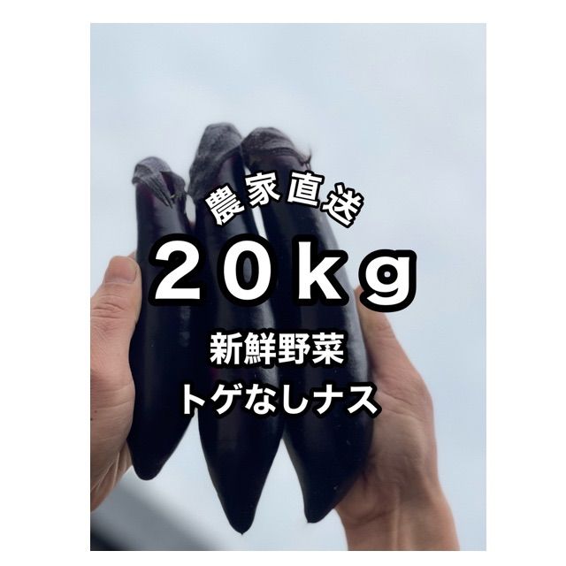 農家直送 ２０ｋｇ 茄子 ナス 新鮮野菜 産地直送 ハウス栽培