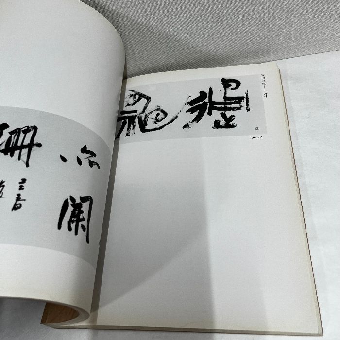 明清の書　日本書芸院 明清の書（日本書芸院創立二十周年紀念展）（【明清の書】明清之