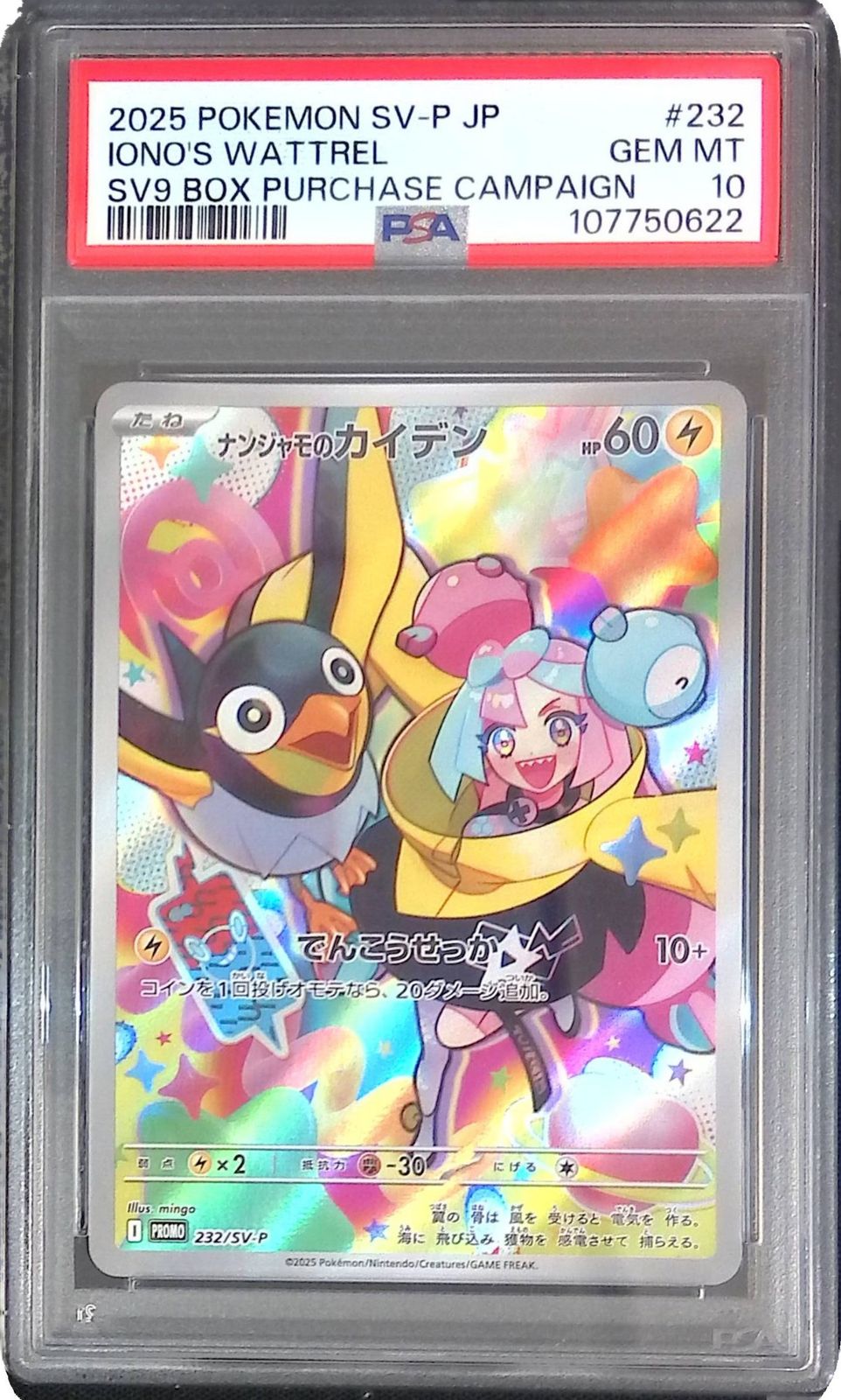 232/SV-P/PROMO ナンジャモのカイデン PSA10 107750622 【公式通販】