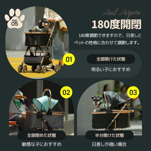 分離式