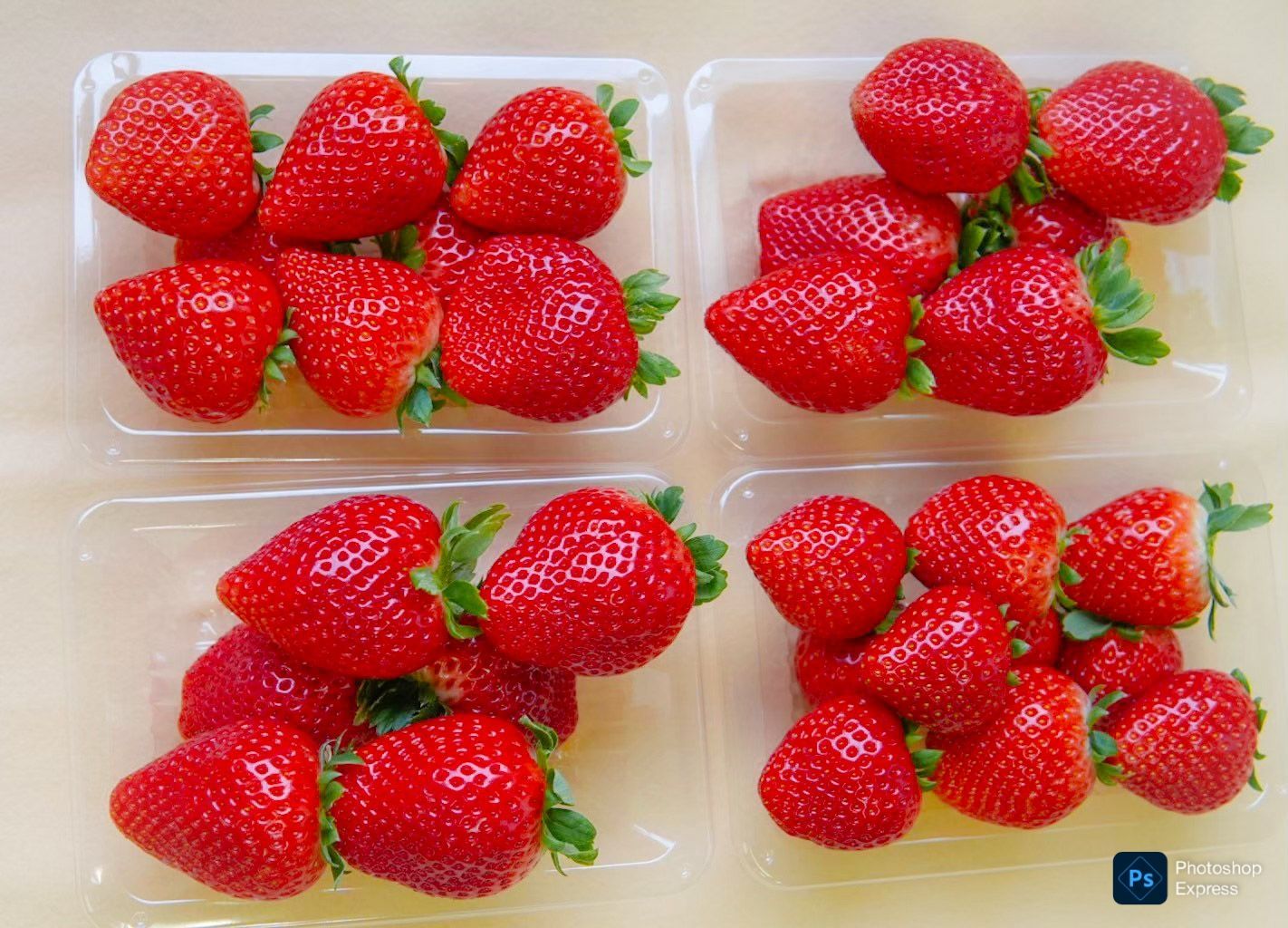 クール便代込み！栃木県産☆完熟とちあいか ！A品！たっぷり約