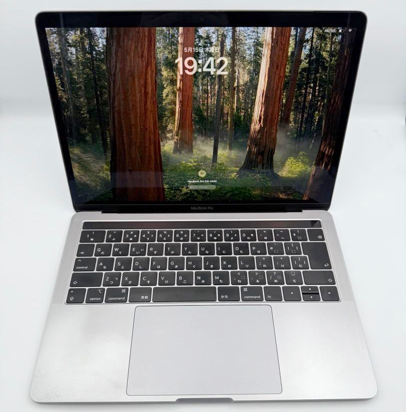 Apple MacBook Pro Ci5 2019 Model A1989 13.3inch RAM 16GB HD容量