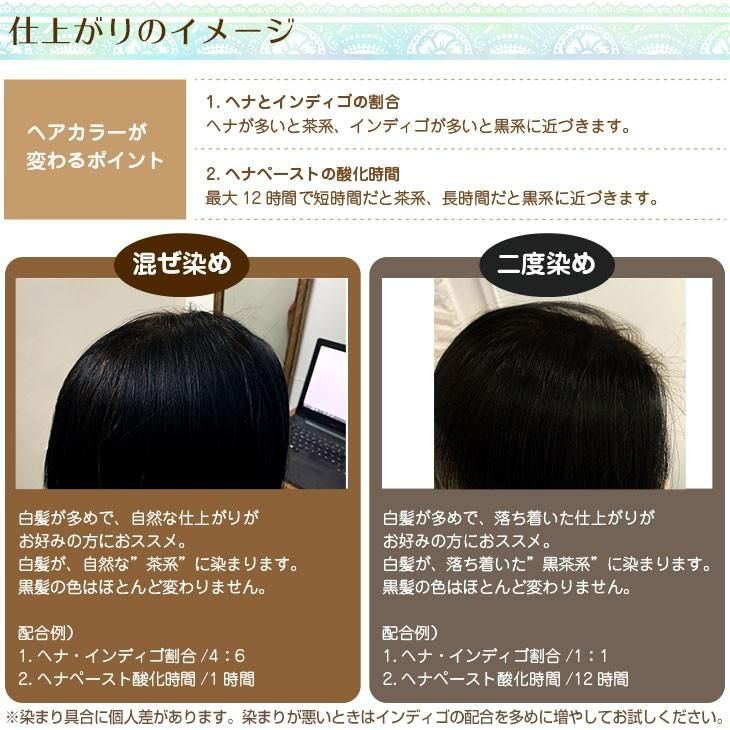 オーガニック 白髪染め Beヘナカラー＆トリートメント オレンジ