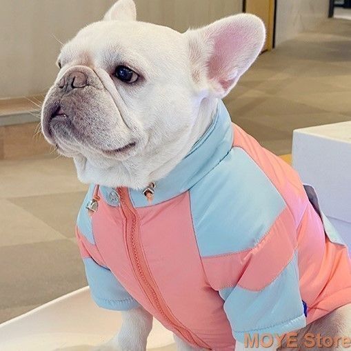 ペット用品 犬