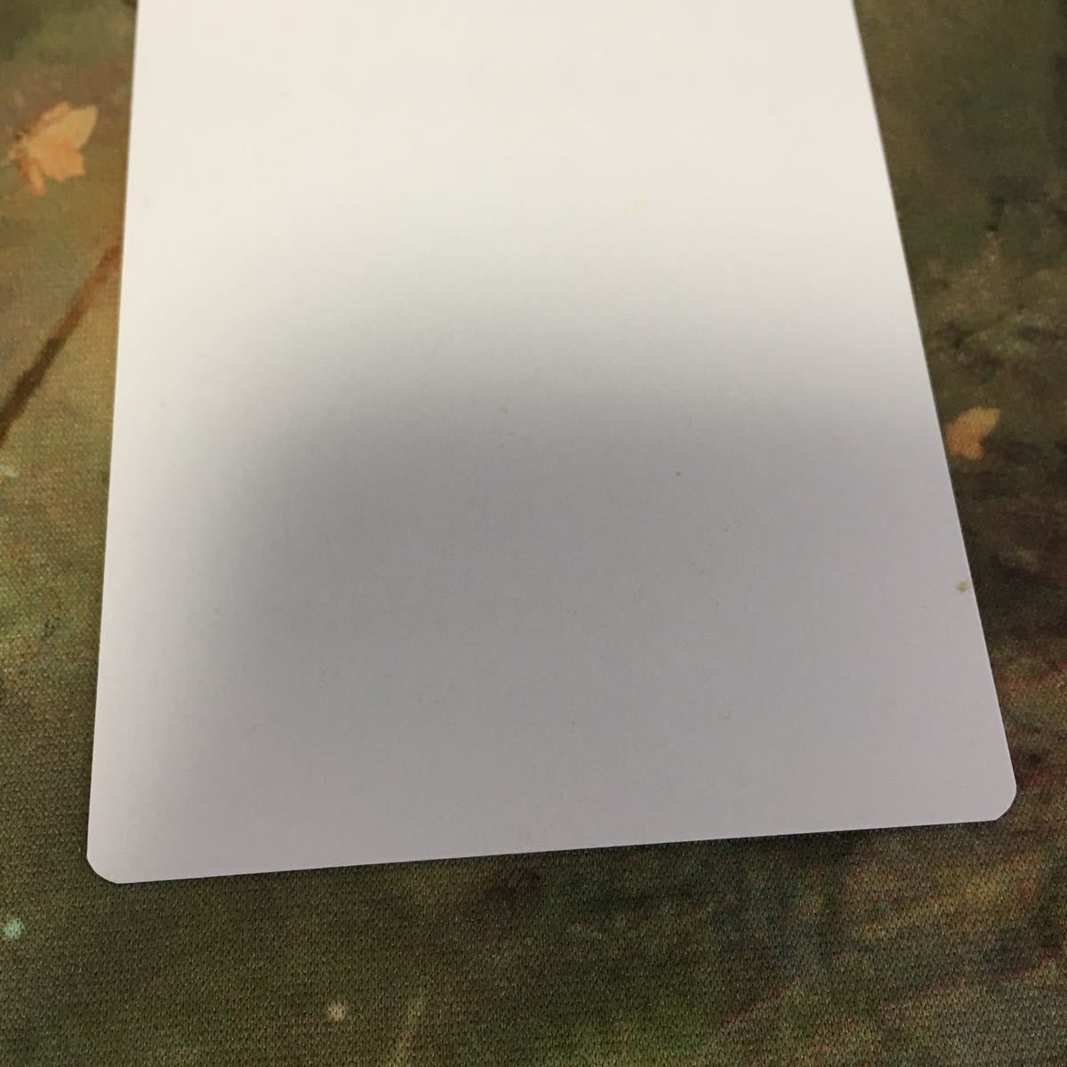 kw0 1 アーティストプルーフ サインド Titus Lunter 山 Mountain Foil