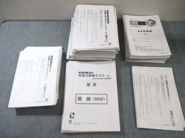 日能研 小6 全国公開模試/学習力/合格力育成テストなど 国語/算数/理科/社会 通年セット 【計39回分】 2023★ 000L2D 日能研 小6 全国公開模試/学習力/合格力育成テストなど 国語