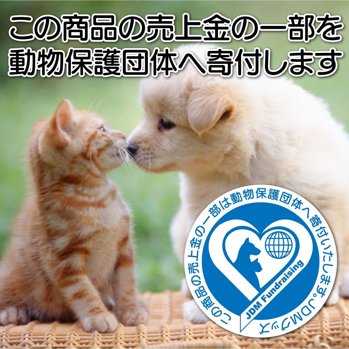 猫ステッカー 玄関 「どれかいます」猫がいます 開閉注意 ネコ 脱走防止 防水 シール 110✕75mm おもしろ 猫グッズ 面白いステッカー 日本製 JDMグッズ メルカリ 「猛猫注意」のステッカーです。元気の良すぎる猫ちゃんがいらっしゃるご家庭に!玄関やポストへ貼って注意喚起ができます★全20色からお選びいただけます。 全20色 猛猫注意 カッティングステッカー 玄関 ポスト 表札 開閉注意 脱走防止 防犯 飛び出し注意 猫 ねこ 案内 表示 注意喚起 mcatc-01