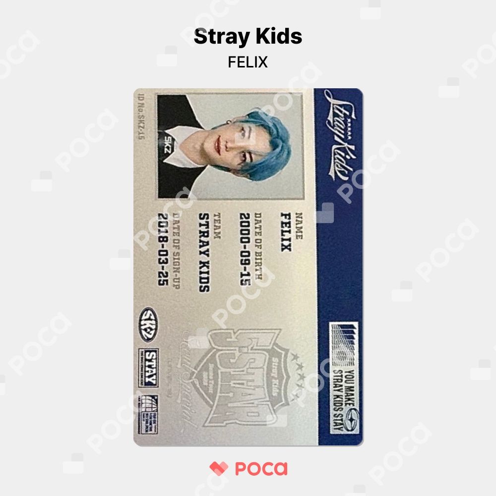 フィリックス トレカ IN生 IN Life 特典 Stray Kids スキズ