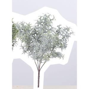 新品・3営業日で発送】ASCA アスカ ローズマリー【価格変更】 (A-43191