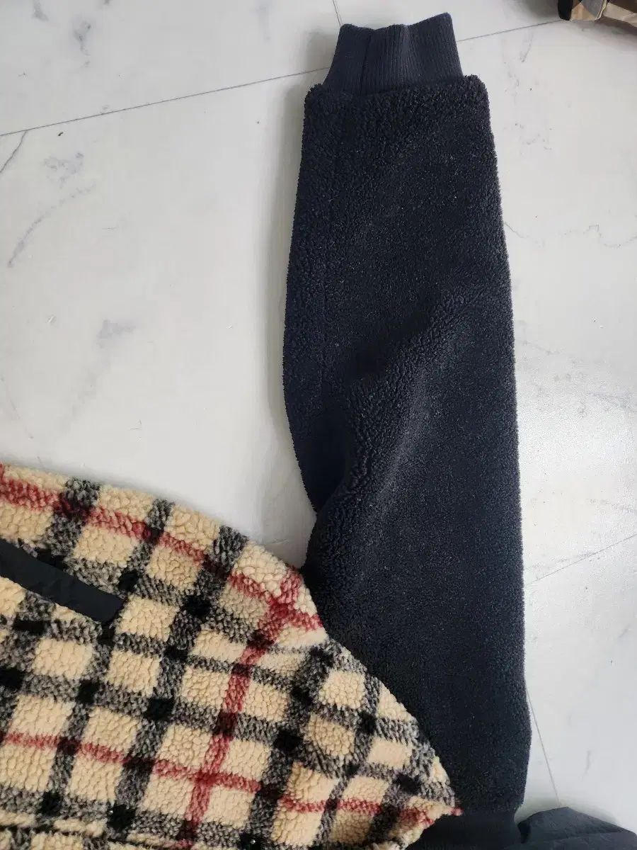 ダックス キッズ