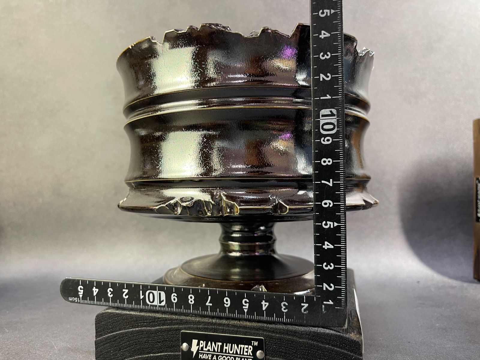 リ041 HAND Made 植木鉢 陶器検 アガベ パキプス 姫巌竜 帝釈天 黒火焔 factory SRL カタチ製作所 グラキリス 塊根植物 亀甲竜