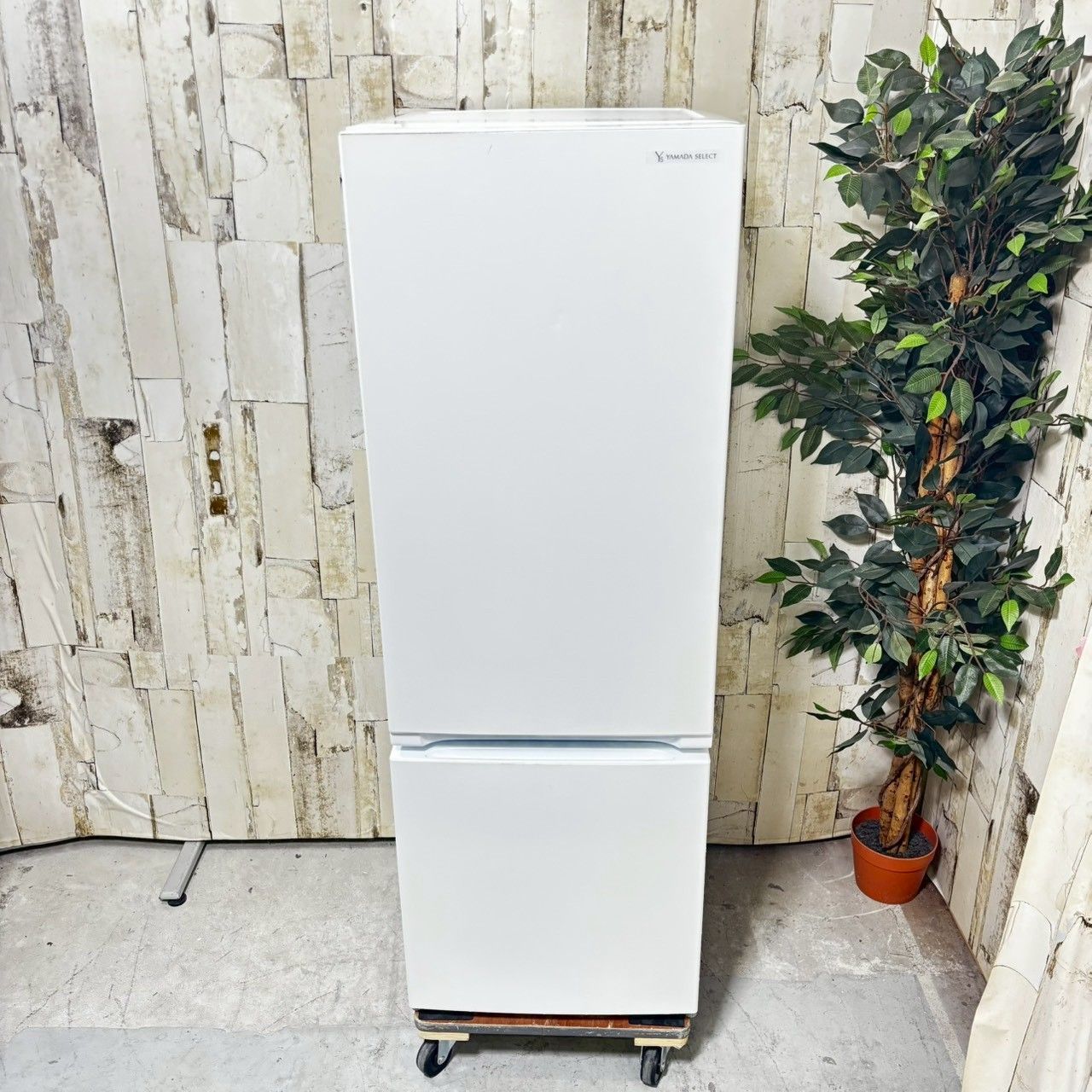 L ヤマダセレクト