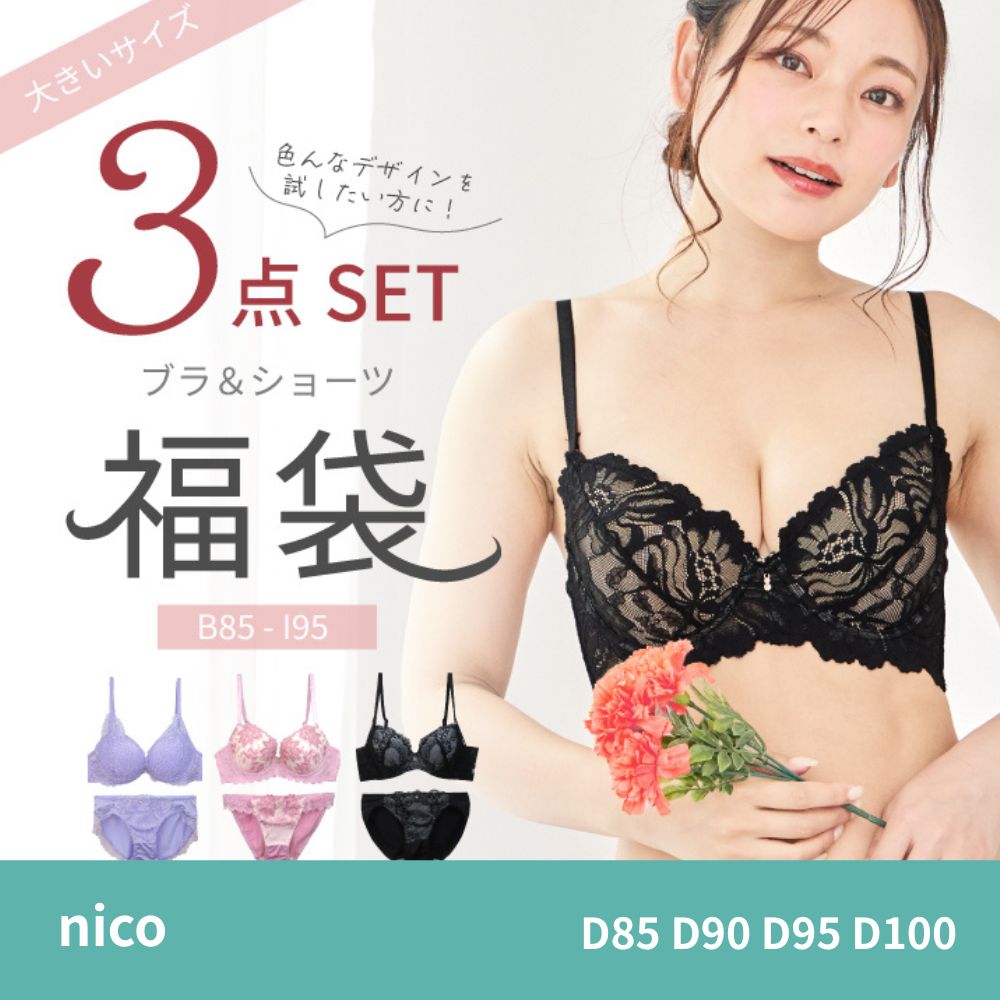 D85 ~ D100 3枚組 ブラショーツ セット 大きいサイズ ブラジャー 福袋