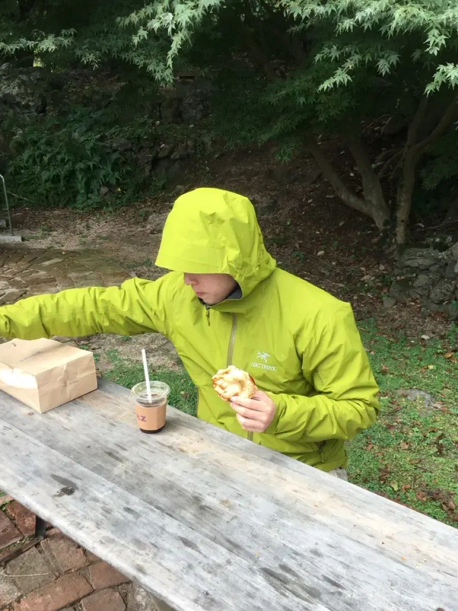 ARC TERYX アークテリクス ZETA m ウィンドブレーカー