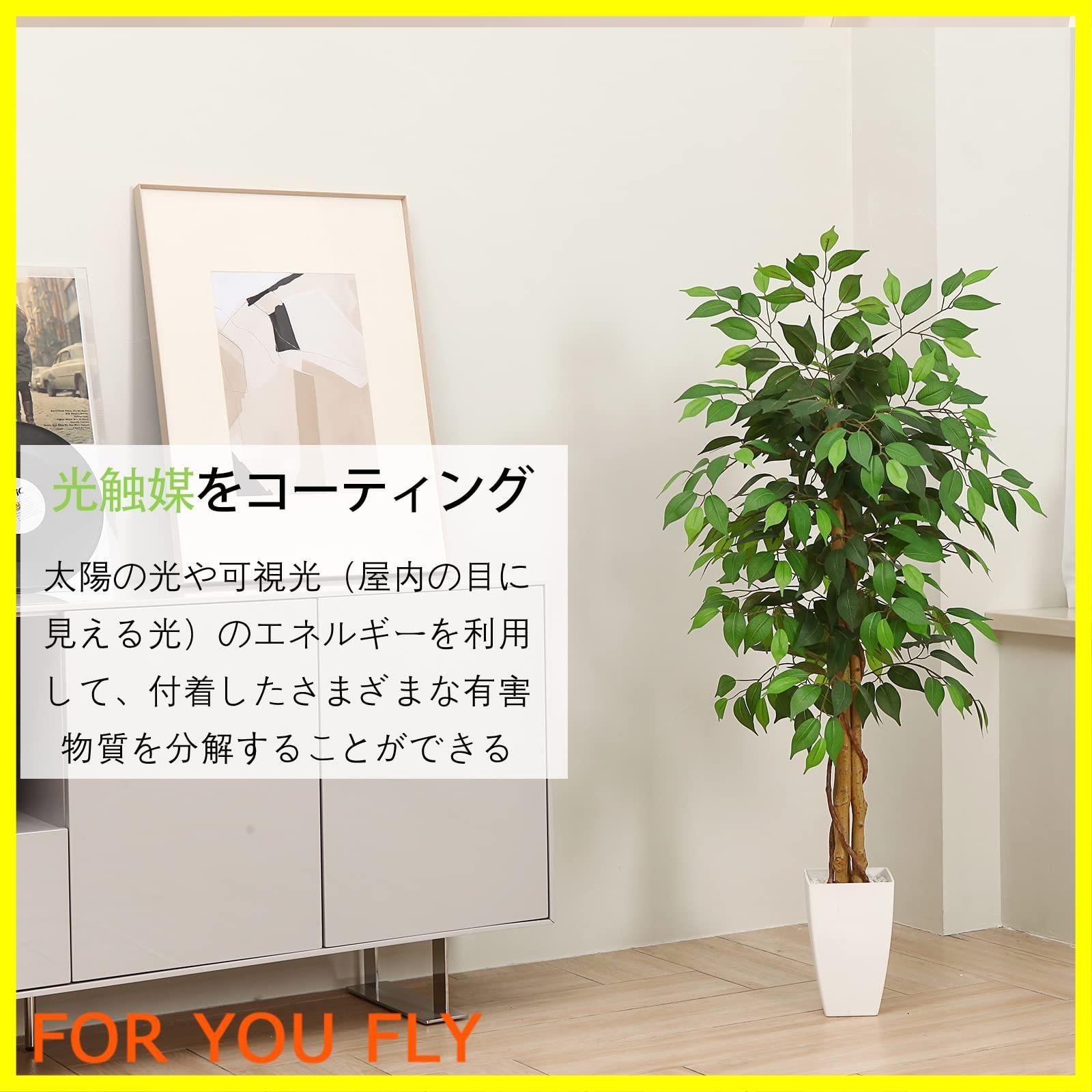 消臭