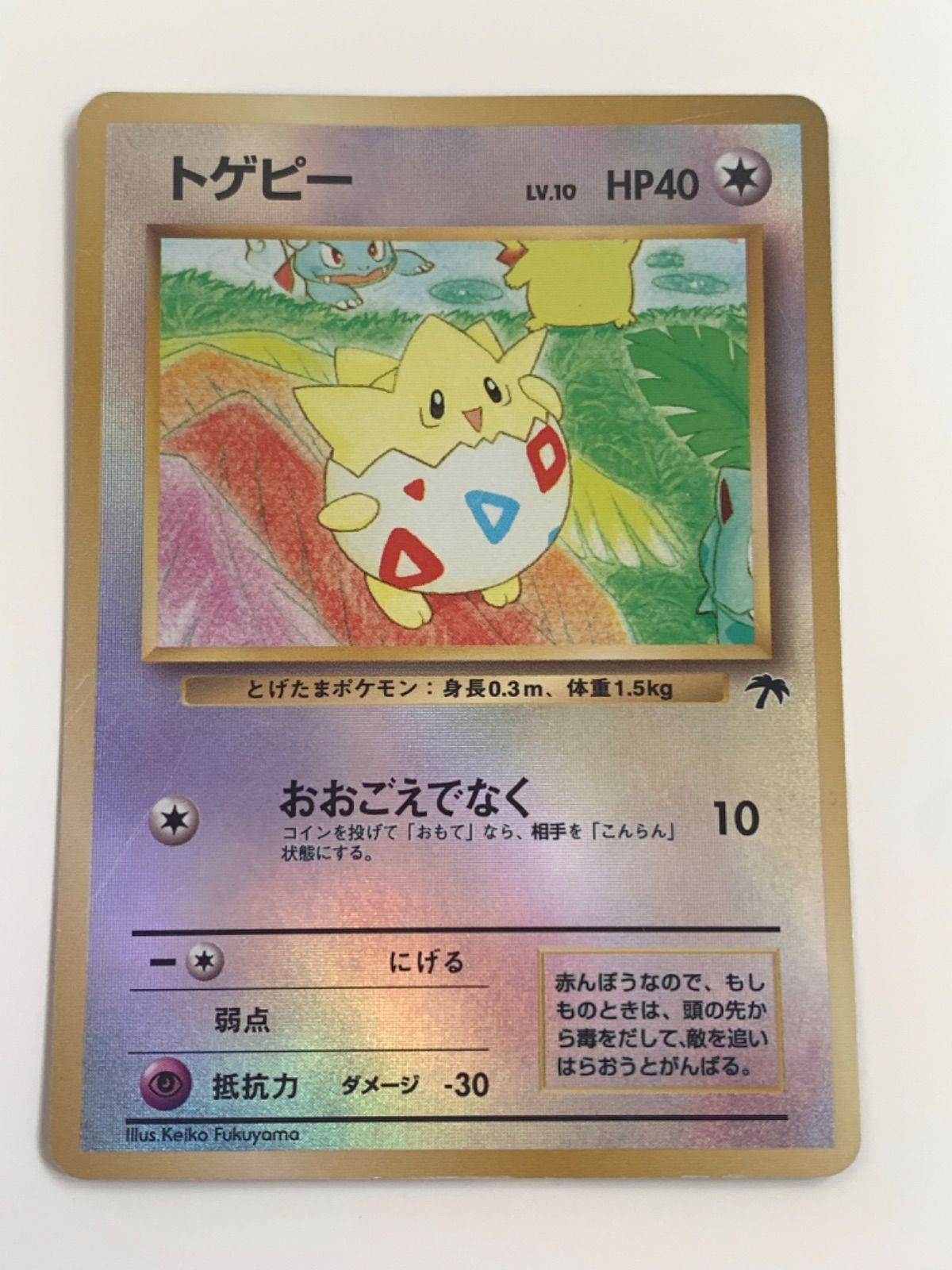 ポケカ ポケモンカード サザンアイランド 映画公開記念パック カメール 旧裏面 ポケカ ポケモンカード サザンアイランド 映画公開記念パック