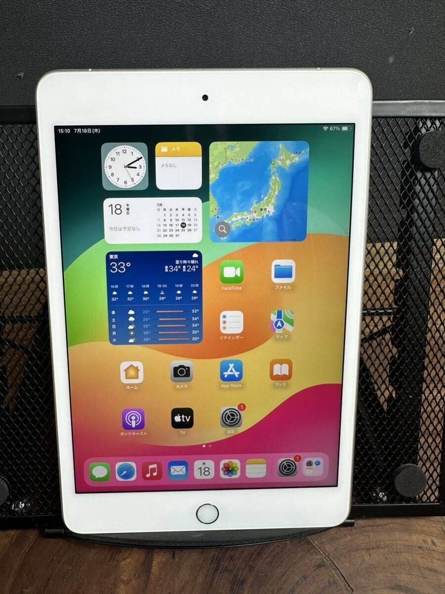 shinpoo様　利用制限△ iPad mini5 256GB Apple iPad mini (5世代)/ 256GB/Wi-Fi +SIMフリー /cellular