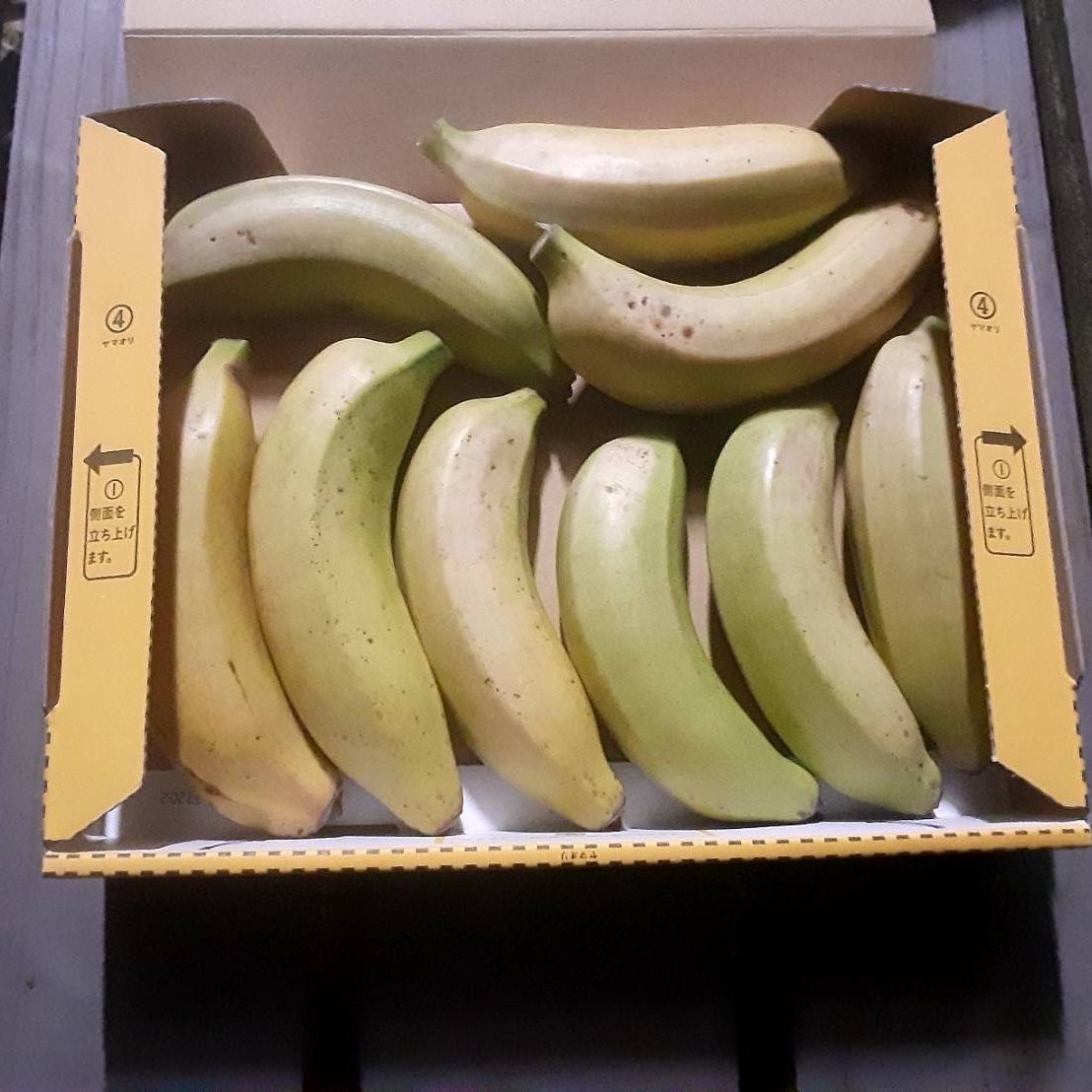 メルカリshops 無農薬 国産モンキーバナナ１キロ 奄美大島産 小笠原種 島バナナ