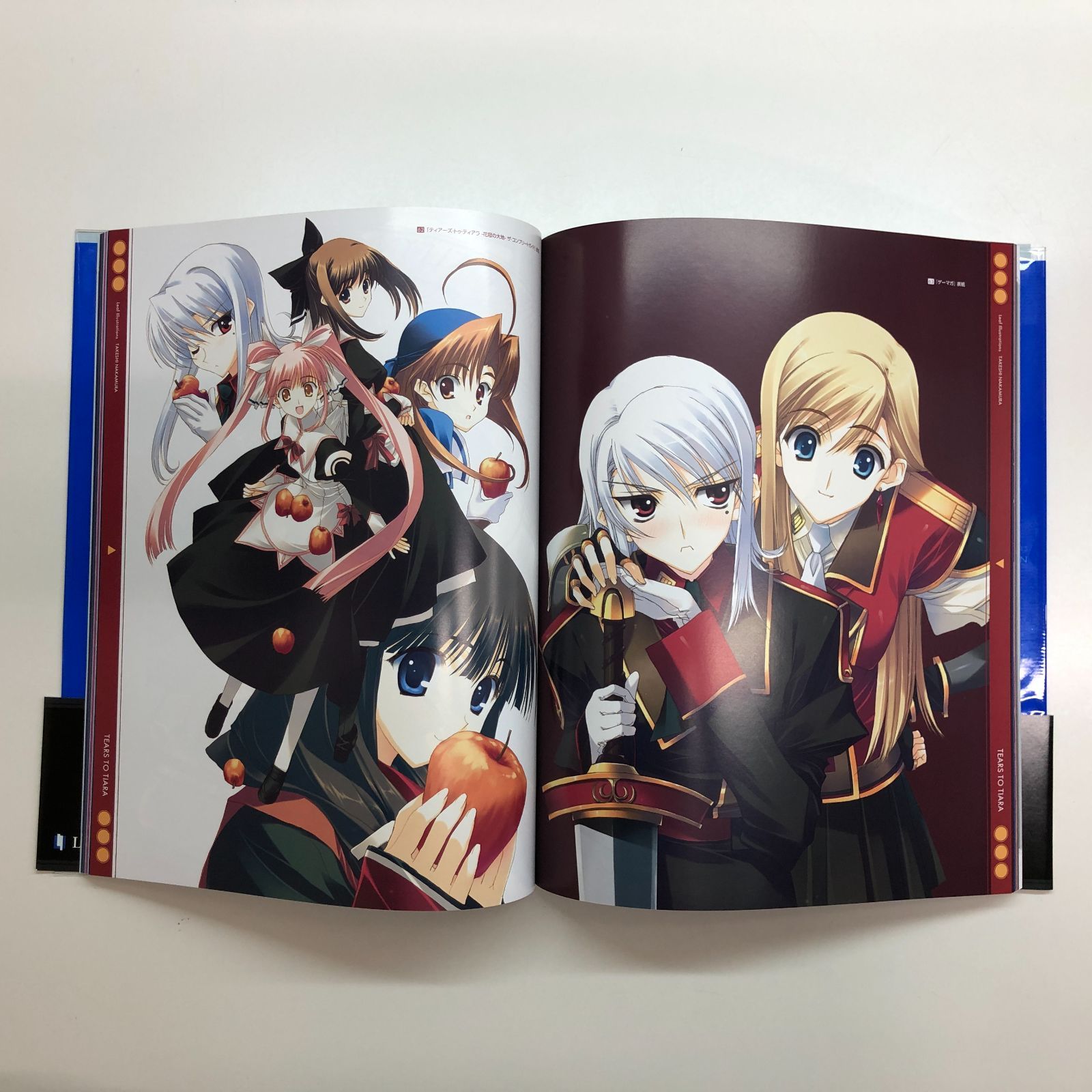 なかむらたけし 画集 2001-2013 Leaf Illustrations TAKESHI