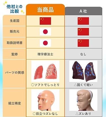 KIYOMARU ソフトな質感で15分解できる卓上サイズの人体解剖模型 人体