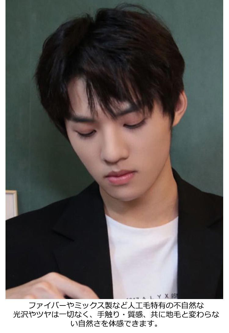メンズウィッグ 人毛100％ 男性用かつら メンズウイッグ 医療用