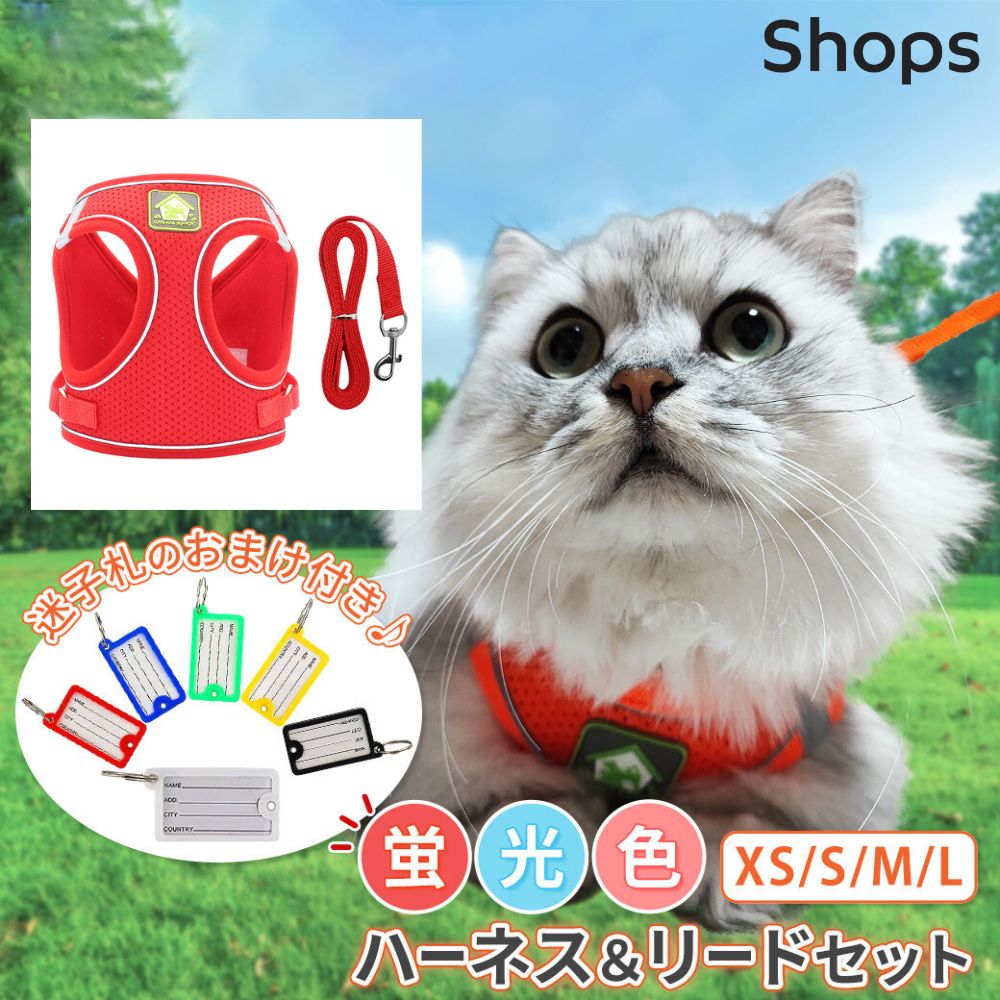 メッシュハーネス リード付き 小型犬 猫 小動物 M 水色 かわいい
